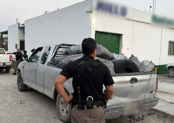 Más de 14 toneladas de carbón vegetal son aseguradas por la FGR en Tamaulipas