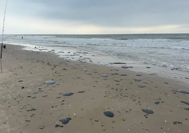 Cierran playa en Tamaulipas por presencia de hidrocarburo; investigan su origen en Tabasco 