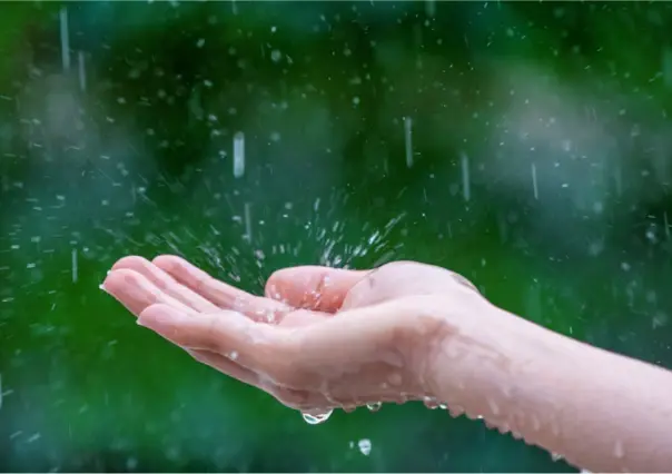 ¡No guardes el paraguas! Se mantiene pronóstico de lluvias para Tamaulipas este 28 de mayo