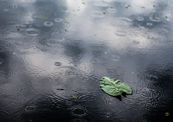 Clima en el Estado de México: hoy 29 de mayo ¿En qué municipios se esperan lluvias?