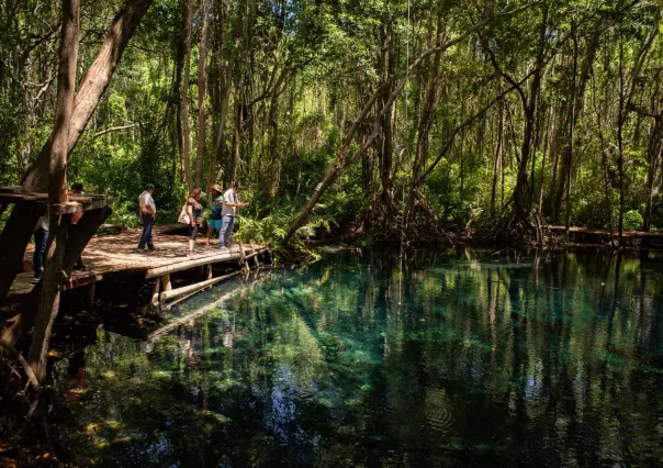 Dzilam de Bravo impulsa el turismo comunitario con apoyo del Renacimiento Maya