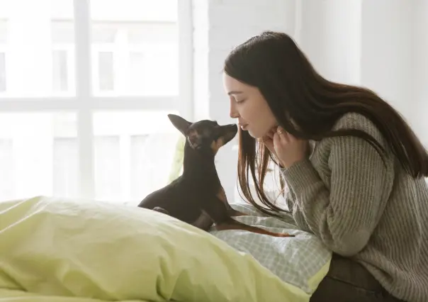 5 razas de perros ideales para vivir en un departamento