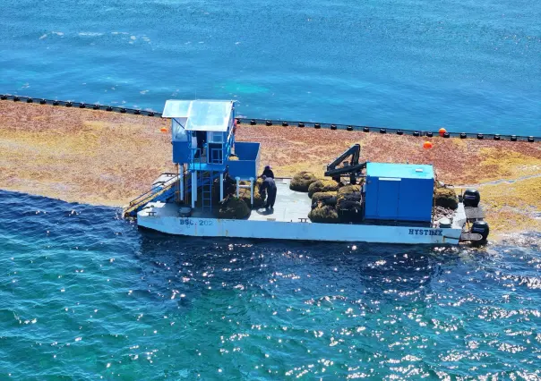 Inicia SEMAR Operación Sargazo 2025 en costas del Caribe Mexicano