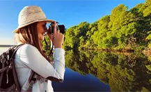 ¿Regresó de la muerte? El asombroso caso del bosque en la costa de Yucatán ¿Regresó de la muerte? El asombroso caso del bosque en la costa de Yucatán