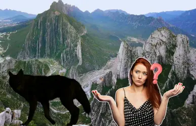 Este es el animal nativo de Nuevo León que vive en el Parque Nacional Cumbres de Monterrey