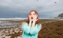 Estas son las playas de Cancún con menos sargazo en temporada de mayor impacto