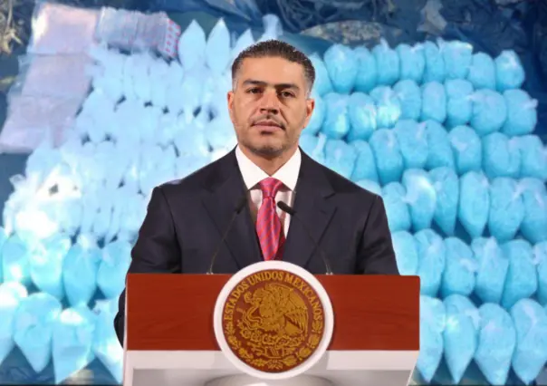 Gabinete de Seguridad asegura 42 toneladas de metanfetamina en Michoacán