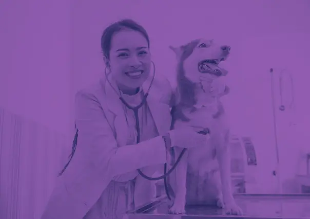 ¿Dónde puedo atender a mi mascota en Tlaxcala?