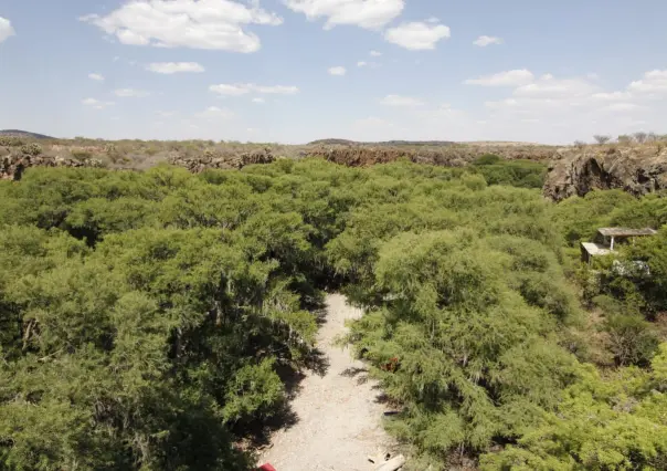 El río oculto en la sierra de Durango que da vida a un increíble paraje turístico