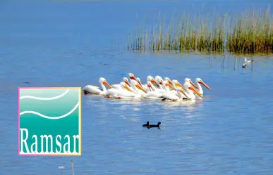 ¿Por qué esta laguna de Durango es tan importante para México y América del Norte?