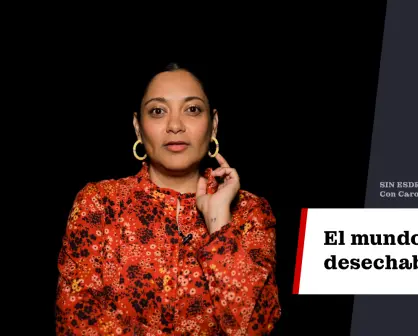 El mundo desechable