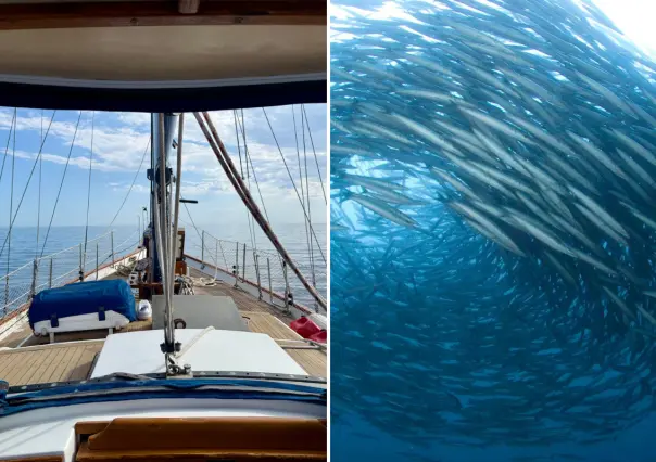 Descubre Isla Espíritu Santo desde La Paz: naturaleza y aventura a un paso