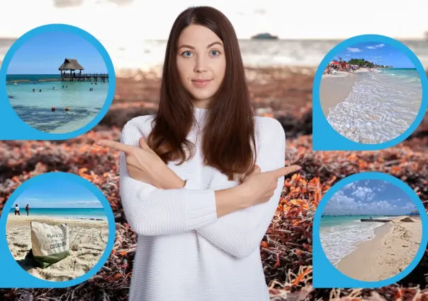 Estas 4 playas perfectas para tus vacaciones en Playa del Carmen están libres de sargazo