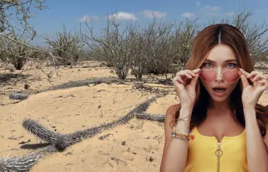 El cactus que camina, así es el "creeping devil" que crece en Baja California Sur