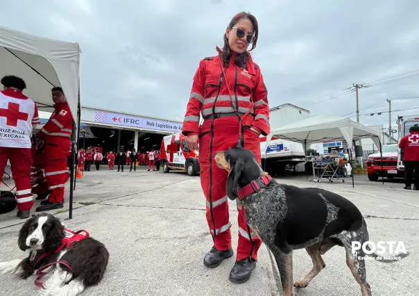 VIDEO | Entre juegos y disciplina: así se forman los perros rescatistas de la Cruz Roja Edomex