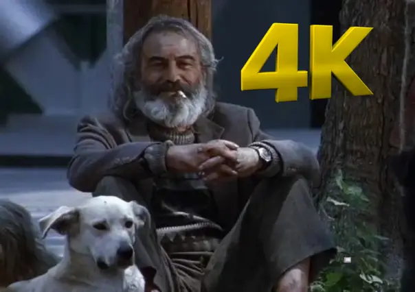 Amores Perros regresa en 4K y podrás verla en CDMX antes de su reestreno mundial