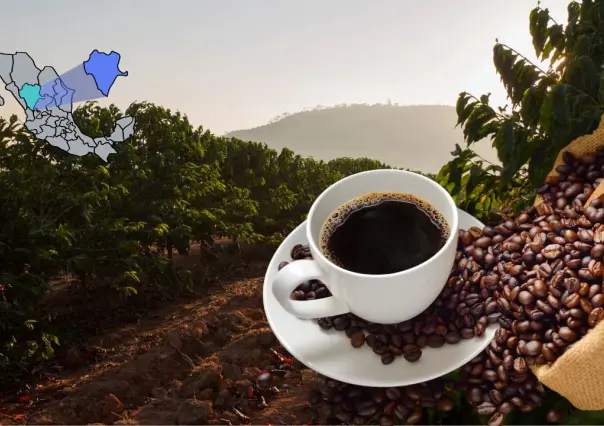 El único municipio de Durango que produce café gracias a su clima semitropical