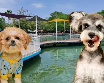 Este es el parque Pet Friendly de Victoria con espacios de descanso para ti y tus mascotas