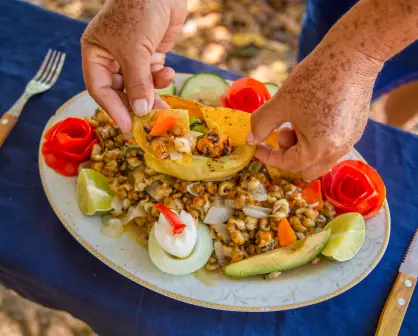 Las chivitas, de conquistar la cocina yucateca a estar en peligro