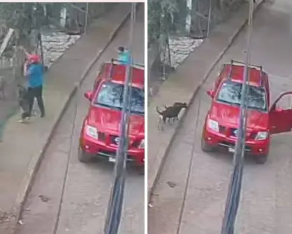 Hombre arroja a perrito a jauría que lo ataca hasta la muerte en Tenancingo | VIDEO