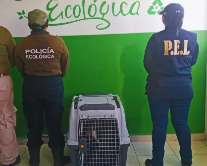 Rescatan a perrita en condiciones de abandono en Kanasín