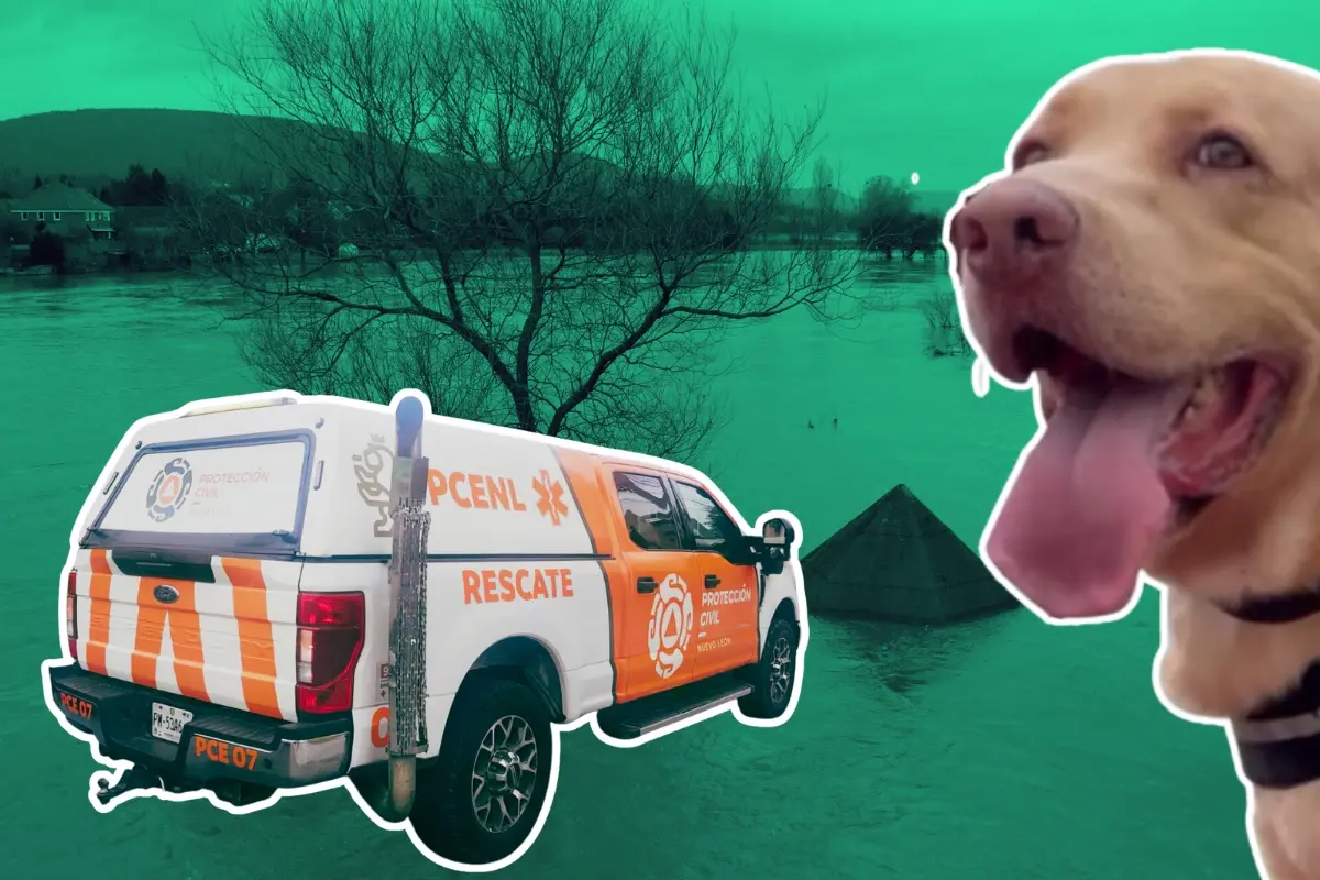 Una calle inundada, una unidad de Protección Civil Nuevo León y binomio canino. Foto: Canva