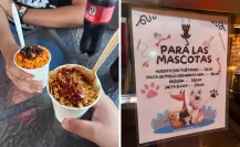 Esta elotería pet friendly en La Paz sorprende con menú especial para mascotas Esta elotería pet friendly en La Paz sorprende con menú especial para mascotas
