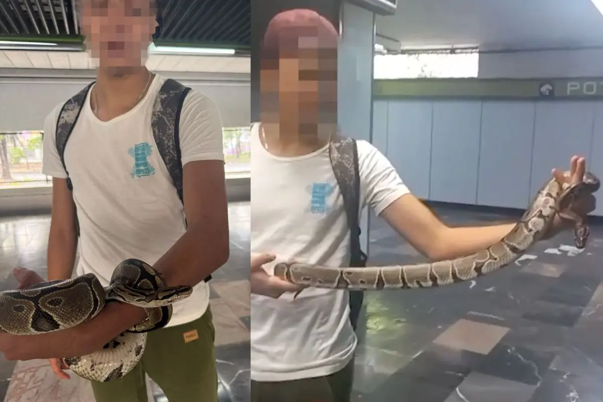 Joven ingresa con una serpiente a la estación Potrero de la Línea 3 del Metro CDMX.    Foto: X (@Metro_CDMX)