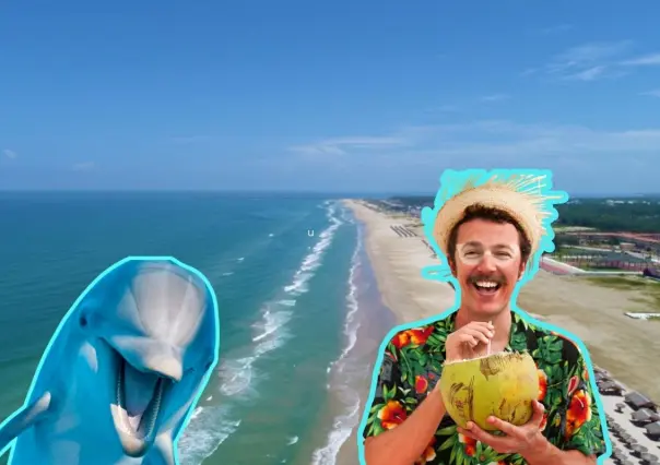 Esta es la playa a 6 horas de Monterrey para observar delfines