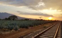 Tequila, mariachi y pueblos mágicos: ruta completa para recorrer Jalisco en 5 días Tequila, mariachi y pueblos mágicos: ruta completa para recorrer Jalisco en 5 días
