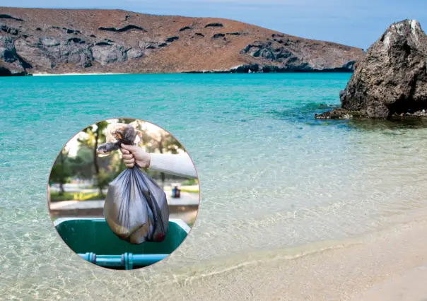 Vacaciones de verano en playas de La Paz: cómo cuidar el paraíso