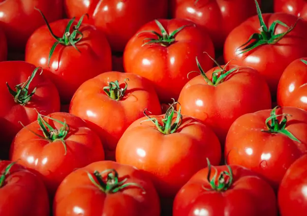 Casa Blanca afirma que tarifa a jitomate mexicano ya están impulsando a los agricultores de EU