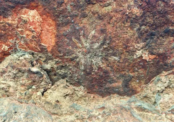 Pinturas rupestres de Tehuacán serían reales; INAH prevé nuevo sitio arqueológico