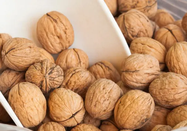 Feria de la Nuez 2025 en Amecameca: cartelera completa de eventos y artistas para el Edomex