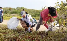 Recolectan casi 2 toneladas de basura en jornada de limpieza de manglar en Yucatán Recolectan casi 2 toneladas de basura en jornada de limpieza de manglar en Yucatán