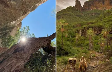 ¿Por qué se llama Sierra Guadalupe? El origen de este nombre en Baja California Sur