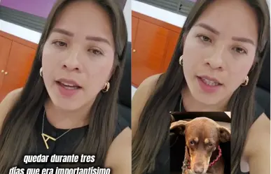 VIDEO | Tiktoker denuncia a clínica veterinaria en CDMX por perder a perrita rescatada