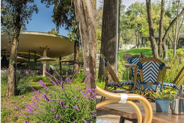 Proscenio Café: descubre el restaurante de CDMX que está dentro de un jardín de ensueño