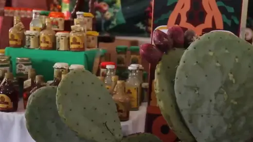 Feria Internacional de la Tuna: Entre música, deporte y comida ¿dónde y cuándo?