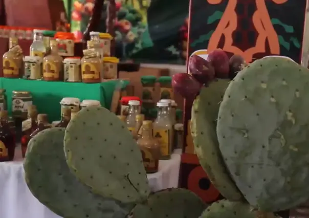 Feria Internacional de la Tuna: Entre música, deporte y comida ¿dónde y cuándo?