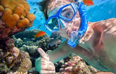 Arrecifes que puedes visitar en Quintana Roo  ideales para hacer snorkel