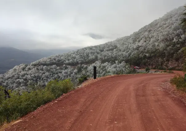 ¿Ya no podrás recorrer el Camino Real de Alta Cumbre al Huizachal? Esto se sabe