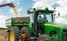 En peligro próximo ciclo de siembra de Tamaulipas por esta razón En peligro próximo ciclo de siembra de Tamaulipas por esta razón