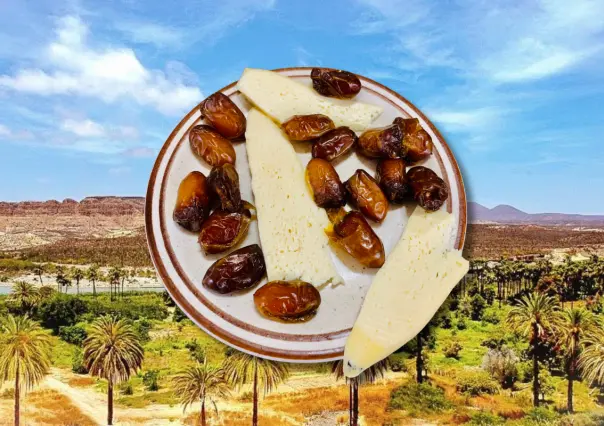 Dátil de San Ignacio BCS, la historia del dulce tesoro del desierto