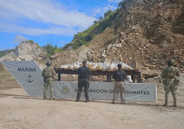 FGR y Marina incineran más de una tonelada de cocaína tras operativo en Guerrero