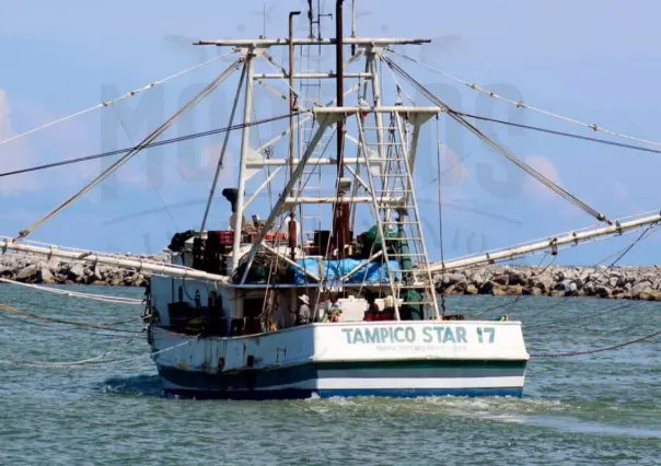 Esta es la famosa "Isla del Encanto": Identidad, tradición y motor camaronero de Tampico