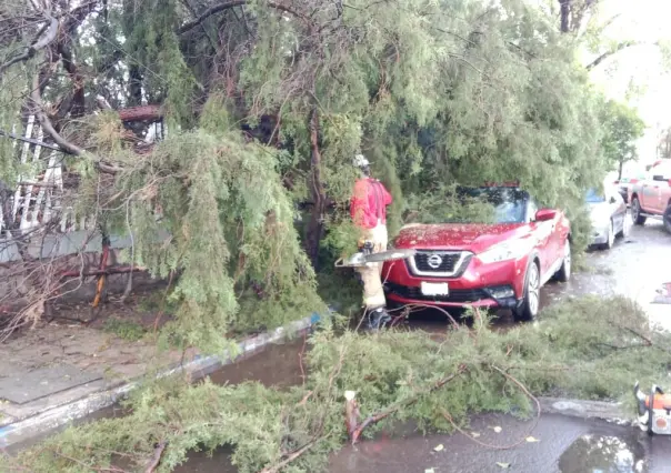 Varios daños en el centro de Durango por intensa lluvia este 15 de agosto