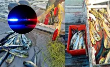 Pesca ilegal en BCS: autoridades incautan 400 kg de dorado y embarcación en operativo Pesca ilegal en BCS: autoridades incautan 400 kg de dorado y embarcación en operativo