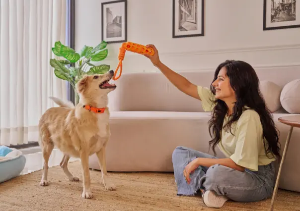 ¿Buscando un compañero de vida? Condusef te dice cuánto cuesta tener una mascota