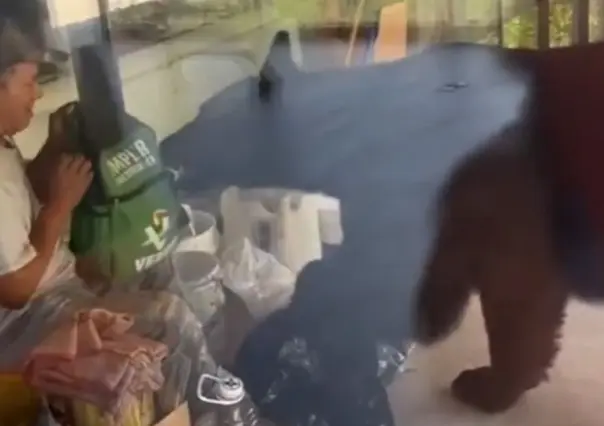 Hombre pelea con un oso por una mochila en Monterrey